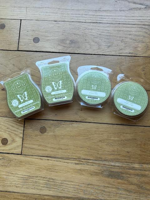 Seller 128 - Scentsy Amazon Rain Wax Bar and Travel Tin Bundle