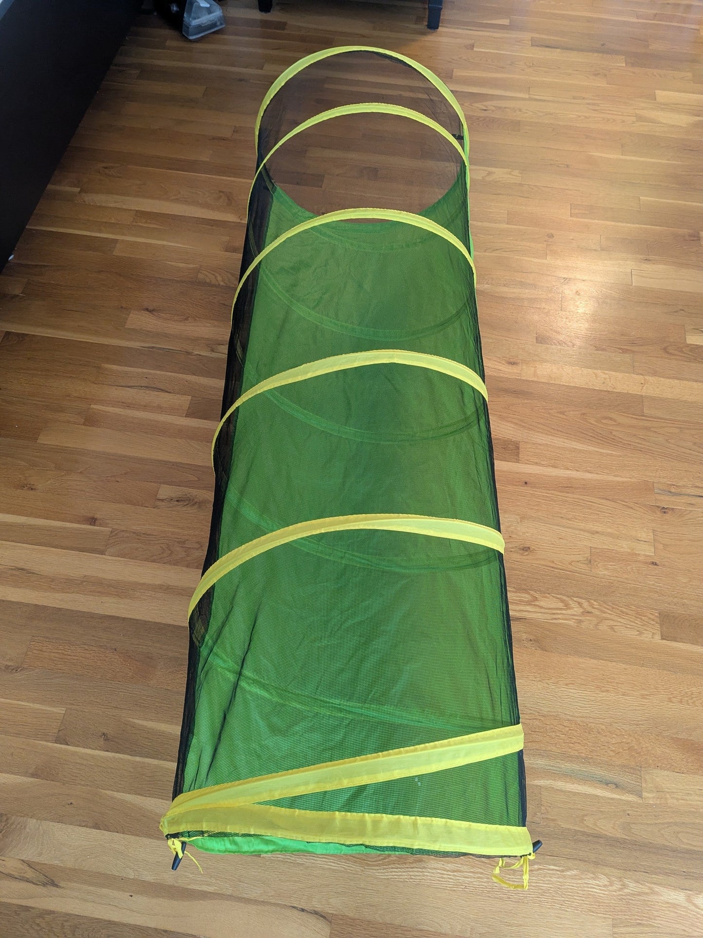 #80 Tunnel with Two Connecting Tents