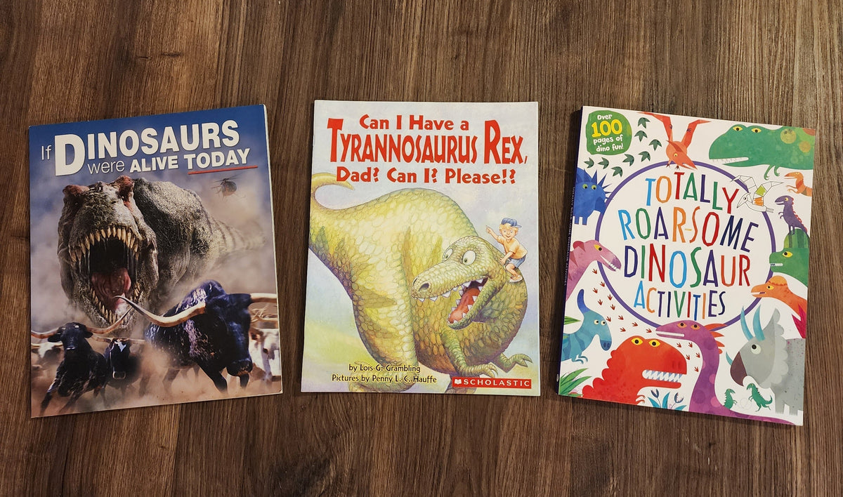#137 Dinosaur book bundle. Activity book has over 100 pages of activities, never used.
