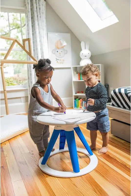 Seller #102 - Baby Einstein Around We Grow 4-in-1 Discovery Center