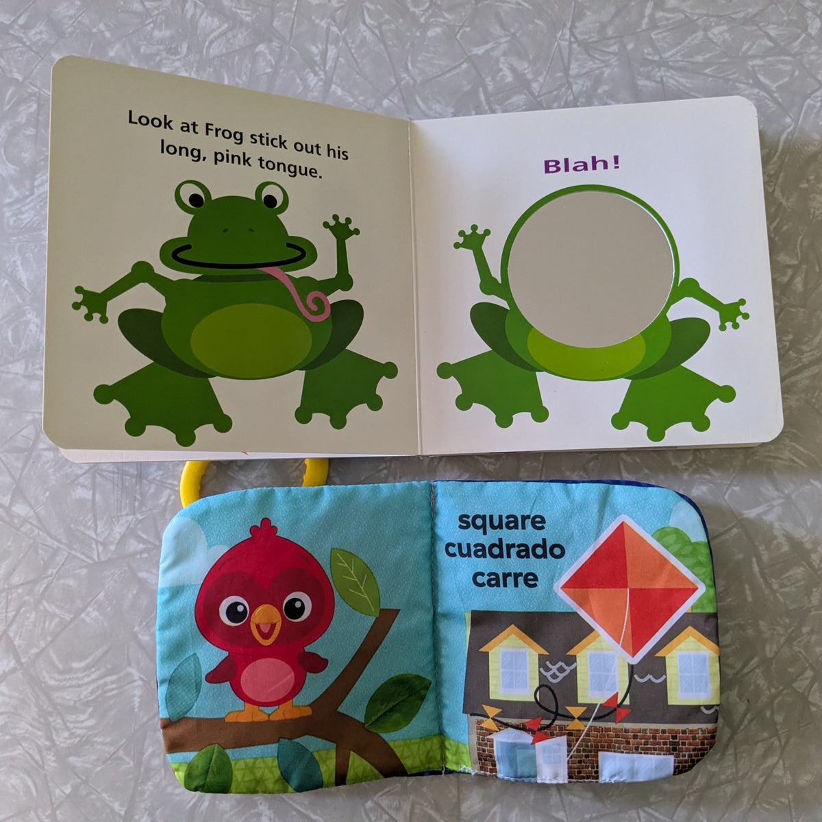#61 Baby Einstein Board Book & Fabric Book