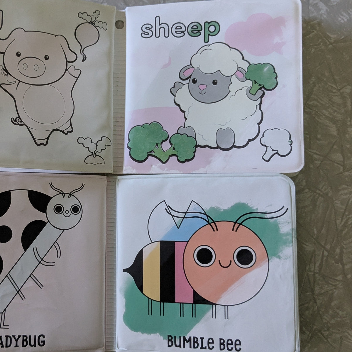 #61 Color Magic Bath Books