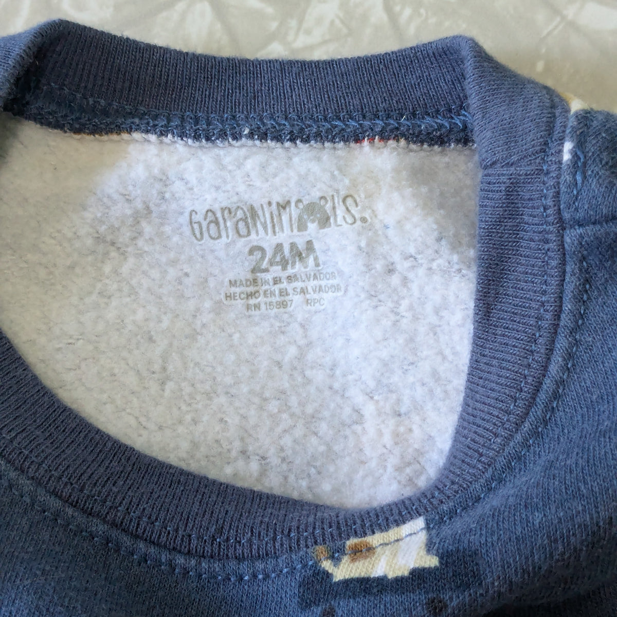 #61 24mo Blue Dog Sweatshirt & Joggers