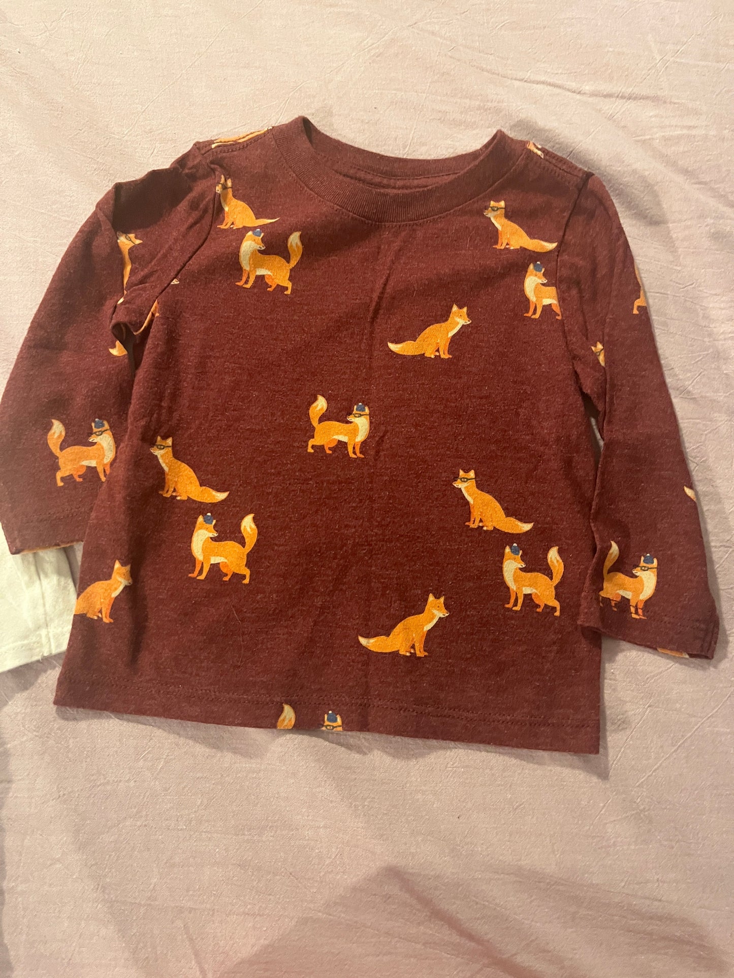 #211 12m Girls Fox/Dino Bundle