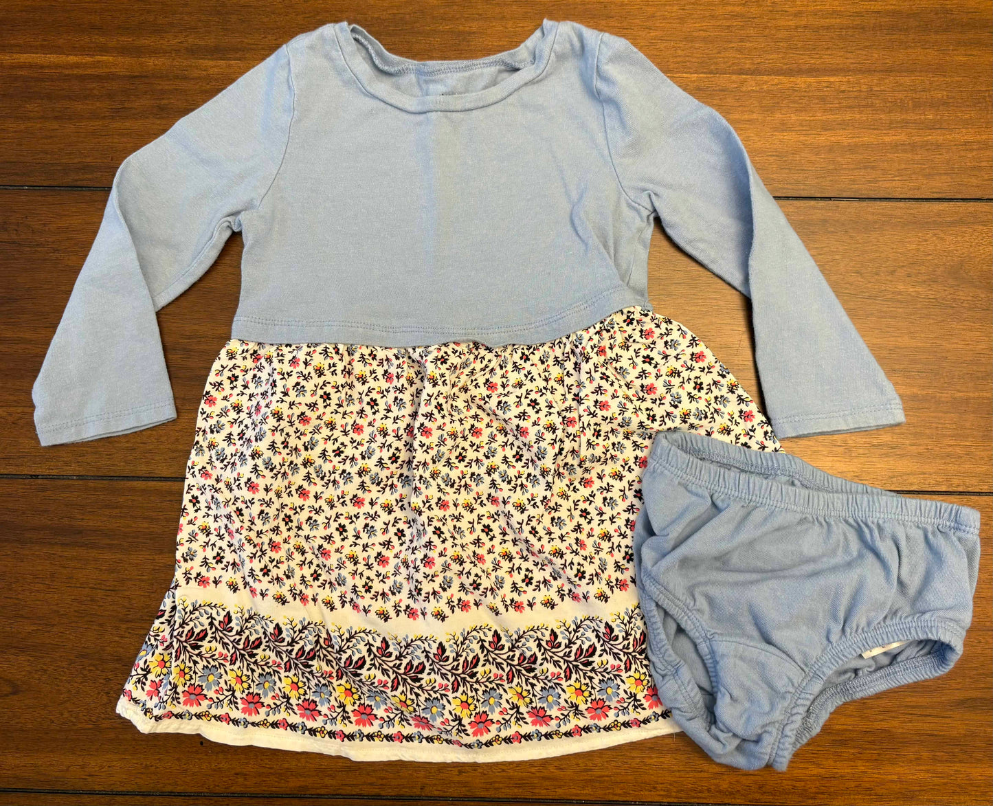 Seller #210 Baby Gap Girls Size 2 Blue Long Sleeve Flowered Dress with Diaper Cover
