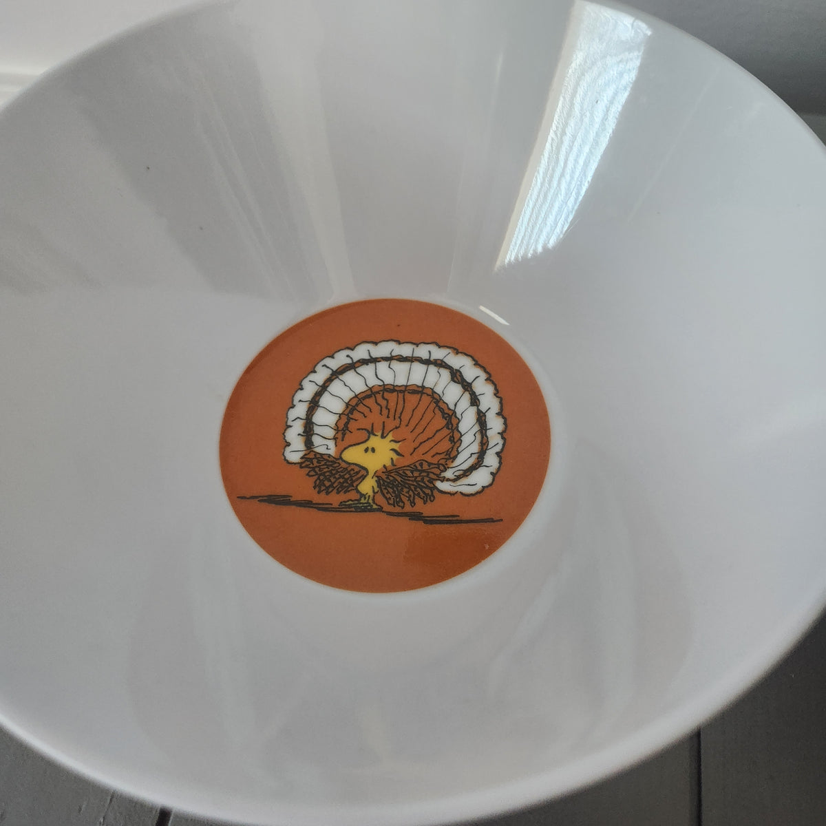 #167 Pottery Barn Kids x Peanuts Thanksgiving Snoopy 4 Bowls