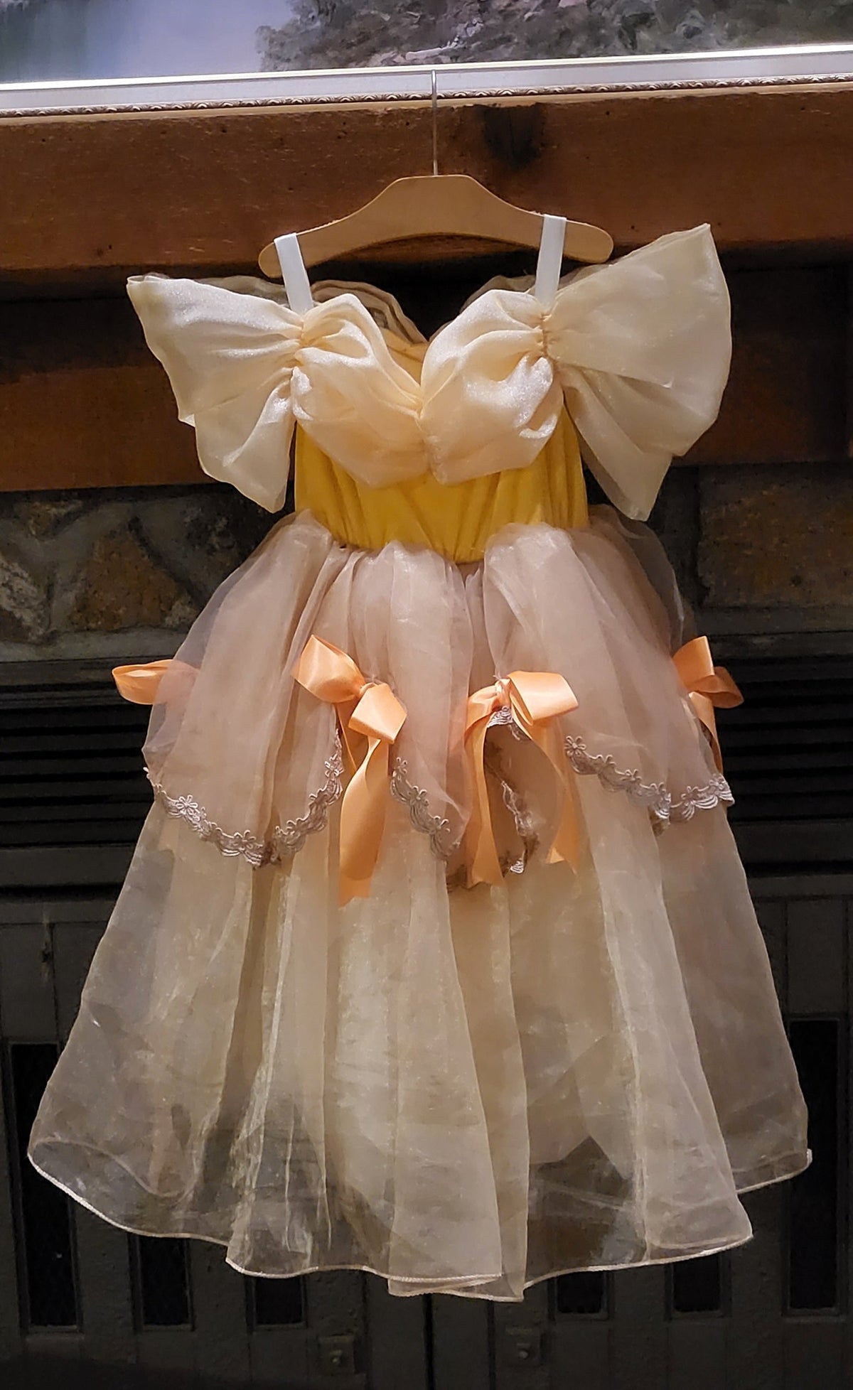 #109. Girls 4T. VGUC. Princess Dress. Inspired by Belle