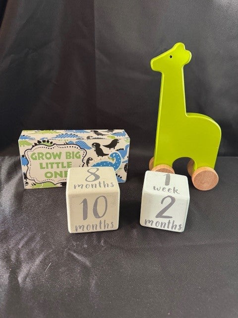 Seller #141 Dinosaur Decor and Birthday Month Blocks GUC JS