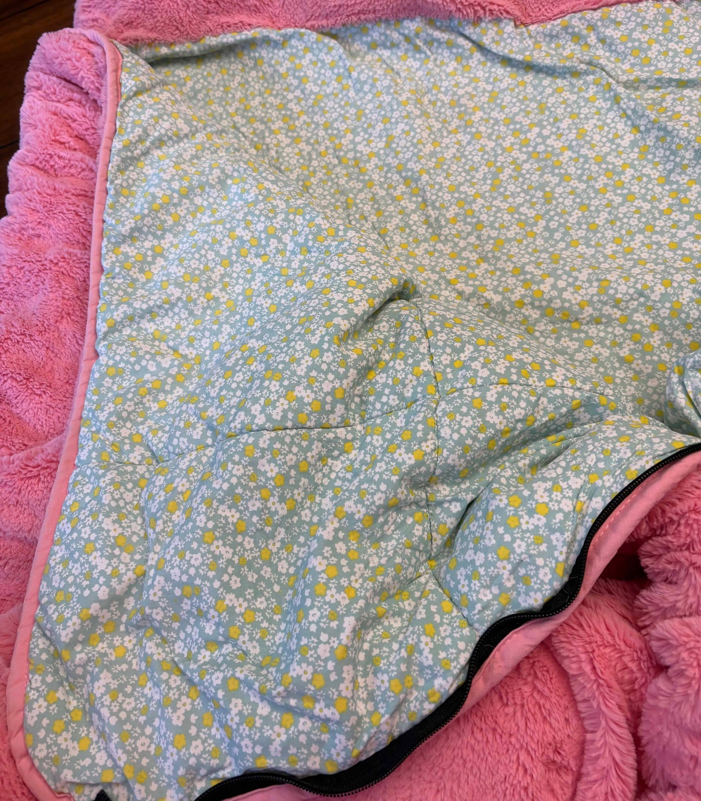 Seller #210 Sesame Street Land of Nod Girls Pink Abby Cadabby Fleece Sleeping Bag with Attached Pillow