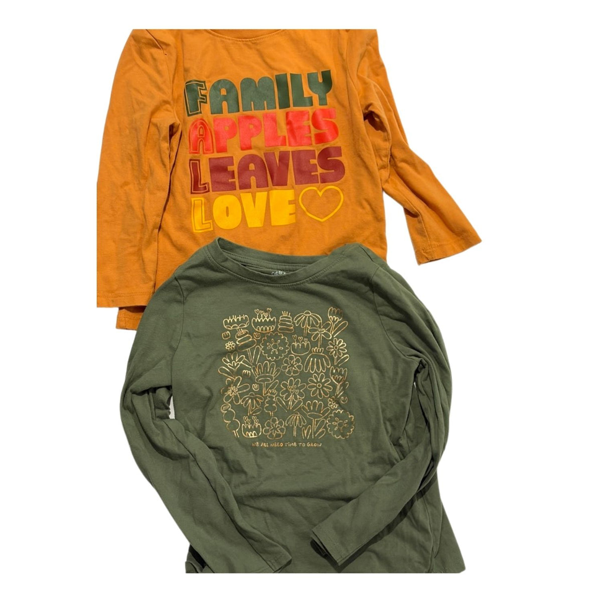 #88 | Girls | 4T | Cat & Jack | Long Sleeve Shirt Set