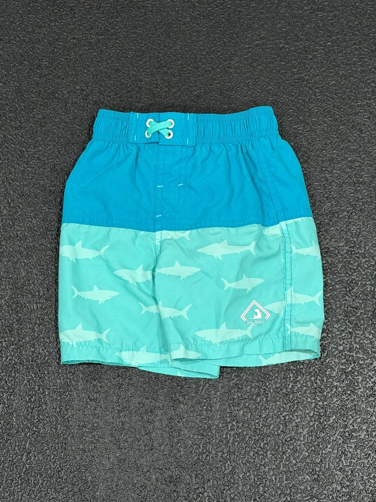 #42 2T Boy Swim Shorts