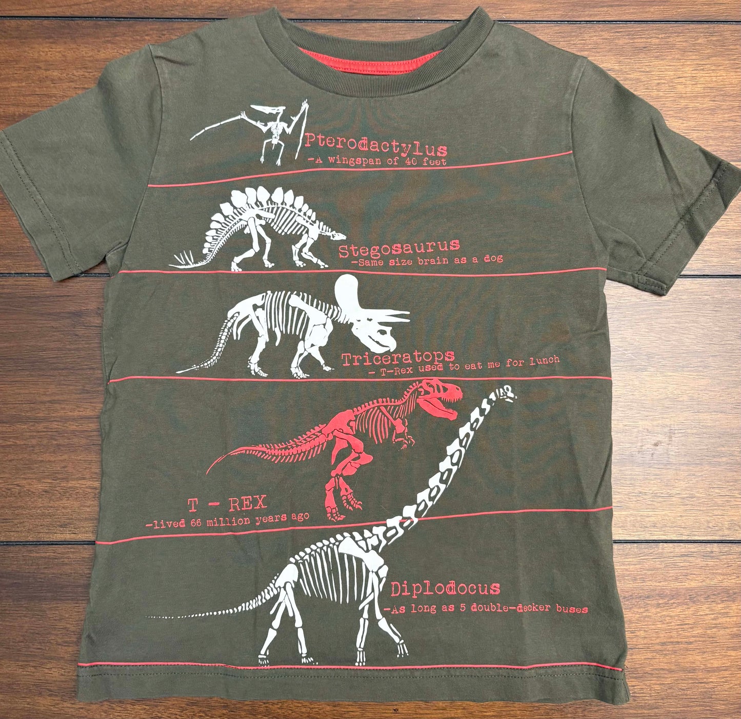 REDUCED Seller #210 Mini Boden Boys Size 5-6 Olive Green Dinosaur Graphic Shirt