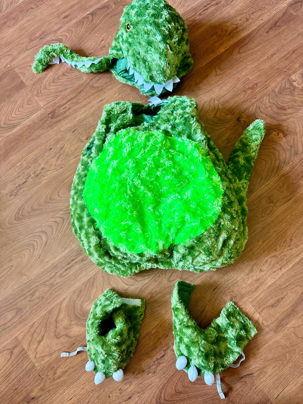 #48 Dino Costume 2t-4t