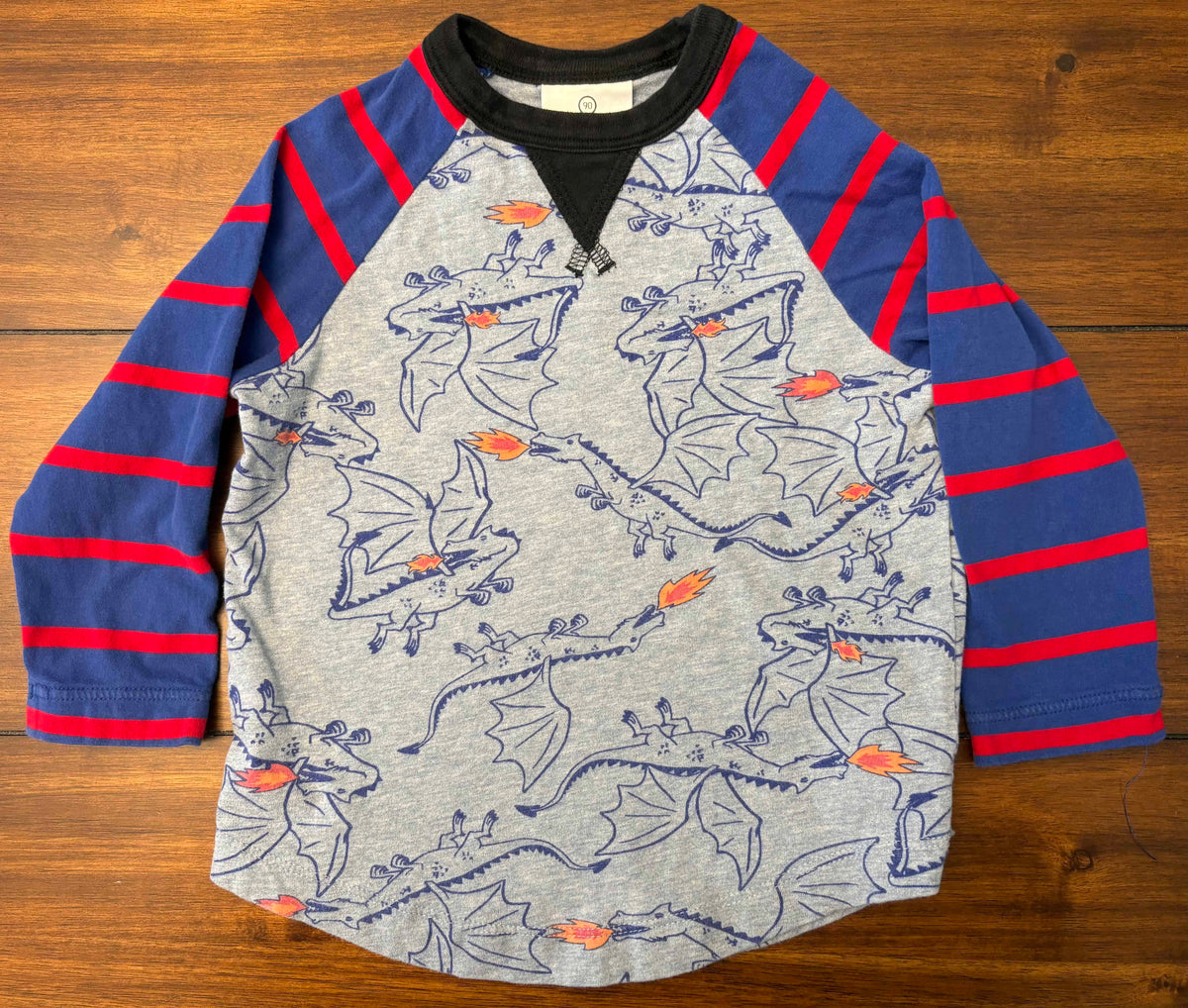 #197 Hanna Andersson Boys Size 3 (90) Blue Dragon Printed Long Sleeve Top