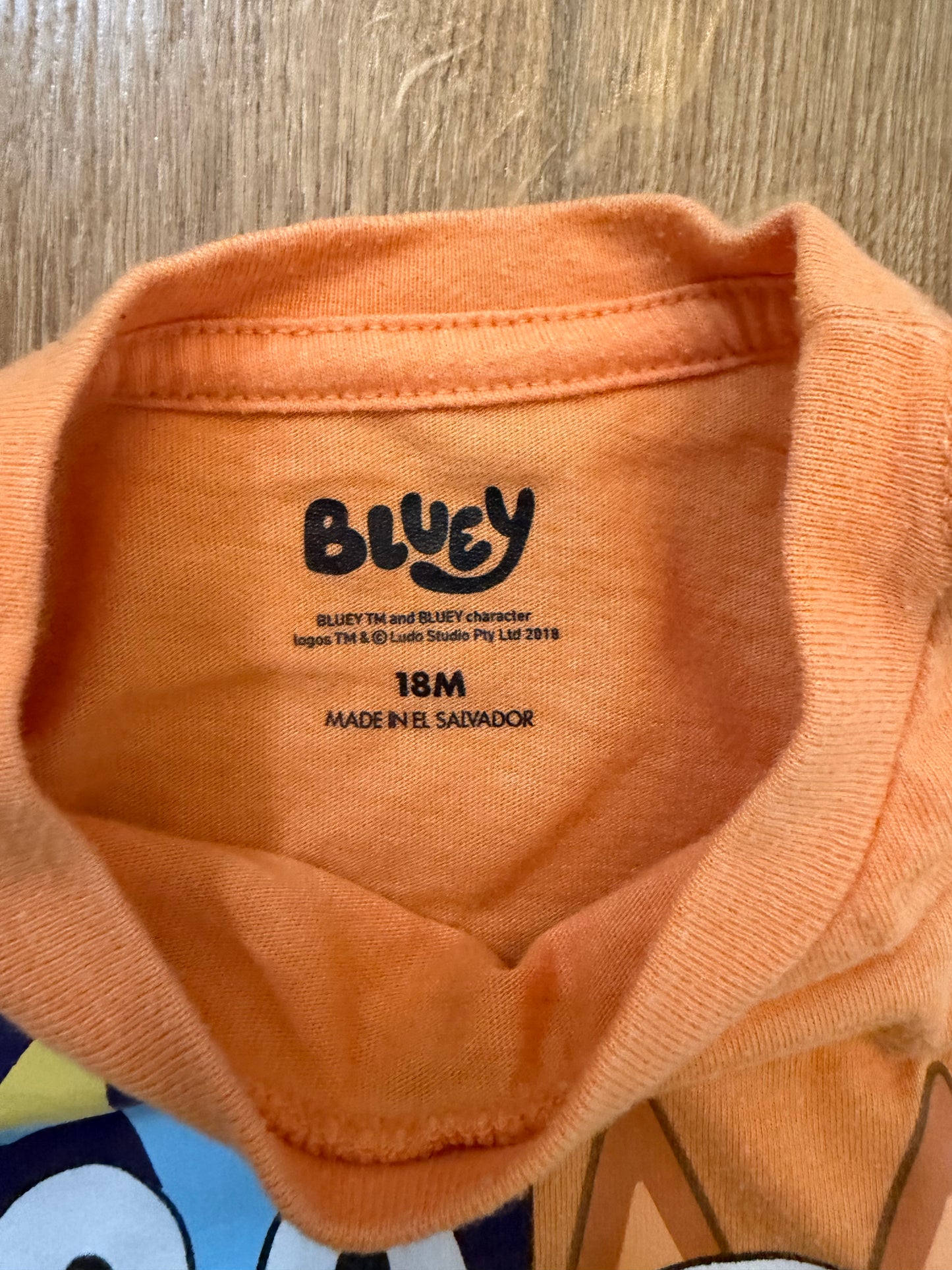 #6 - Bluey Halloween T-Shirt - 18 months