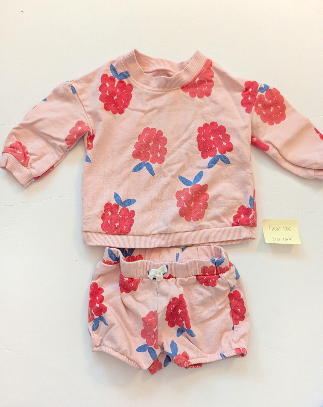 Seller 97, Carter's Raspberry Pink Sweatshirt & Short Set, baby size 6mo (item 260)