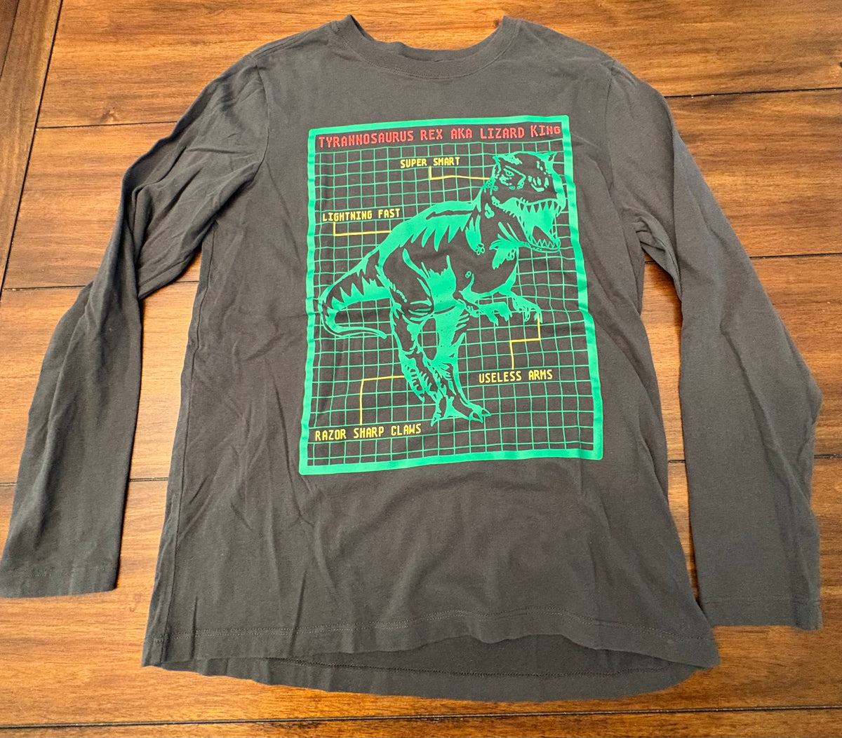 #197 Hanna Andersson Boys Size 12 Black Dinosaur Printed Long Sleeve Top