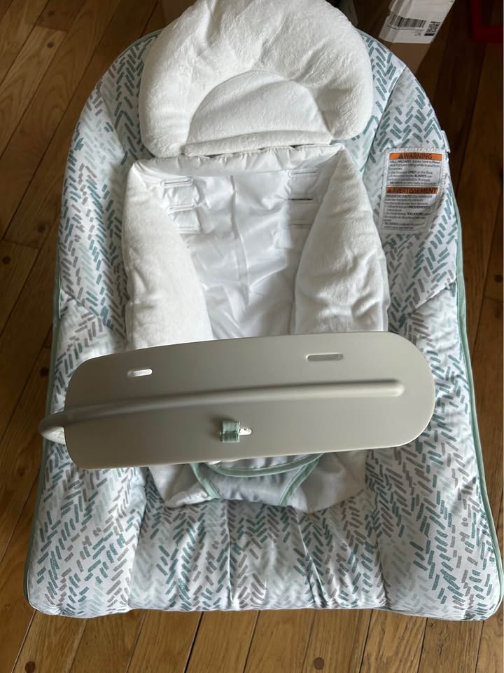 Seller 128 - Ingenuity 3 in 1 Baby Seat - New!