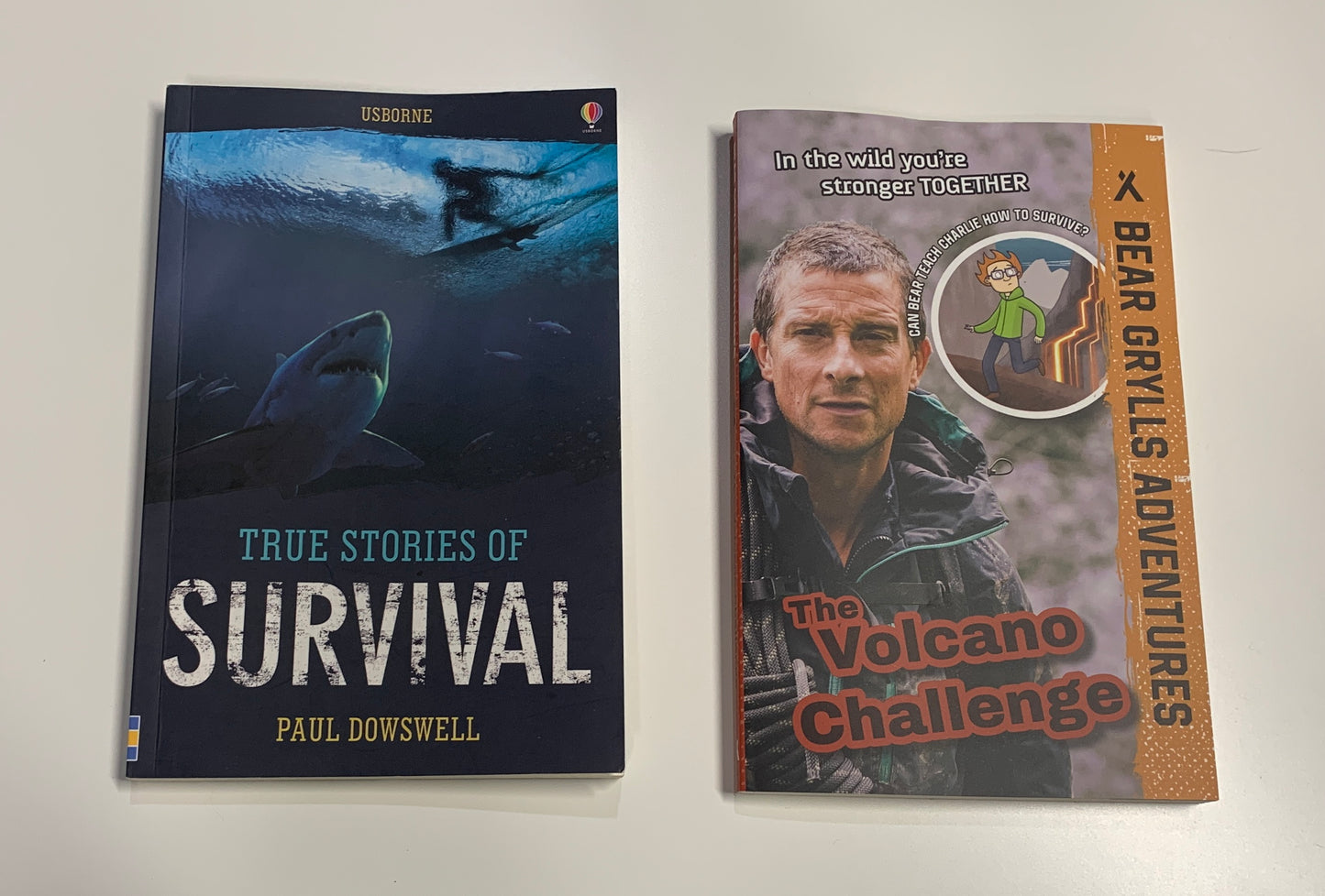 Seller 122 Usbourne Survivor Book Bundle