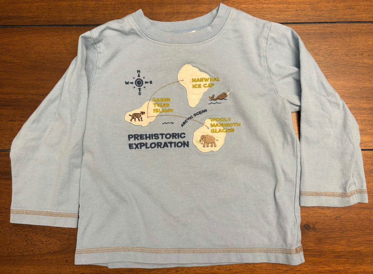 Seller #210 Janie & Jack Boys Size 18-24M Light Blue Prehistoric Exploration Embroidered Long Sleeve Top