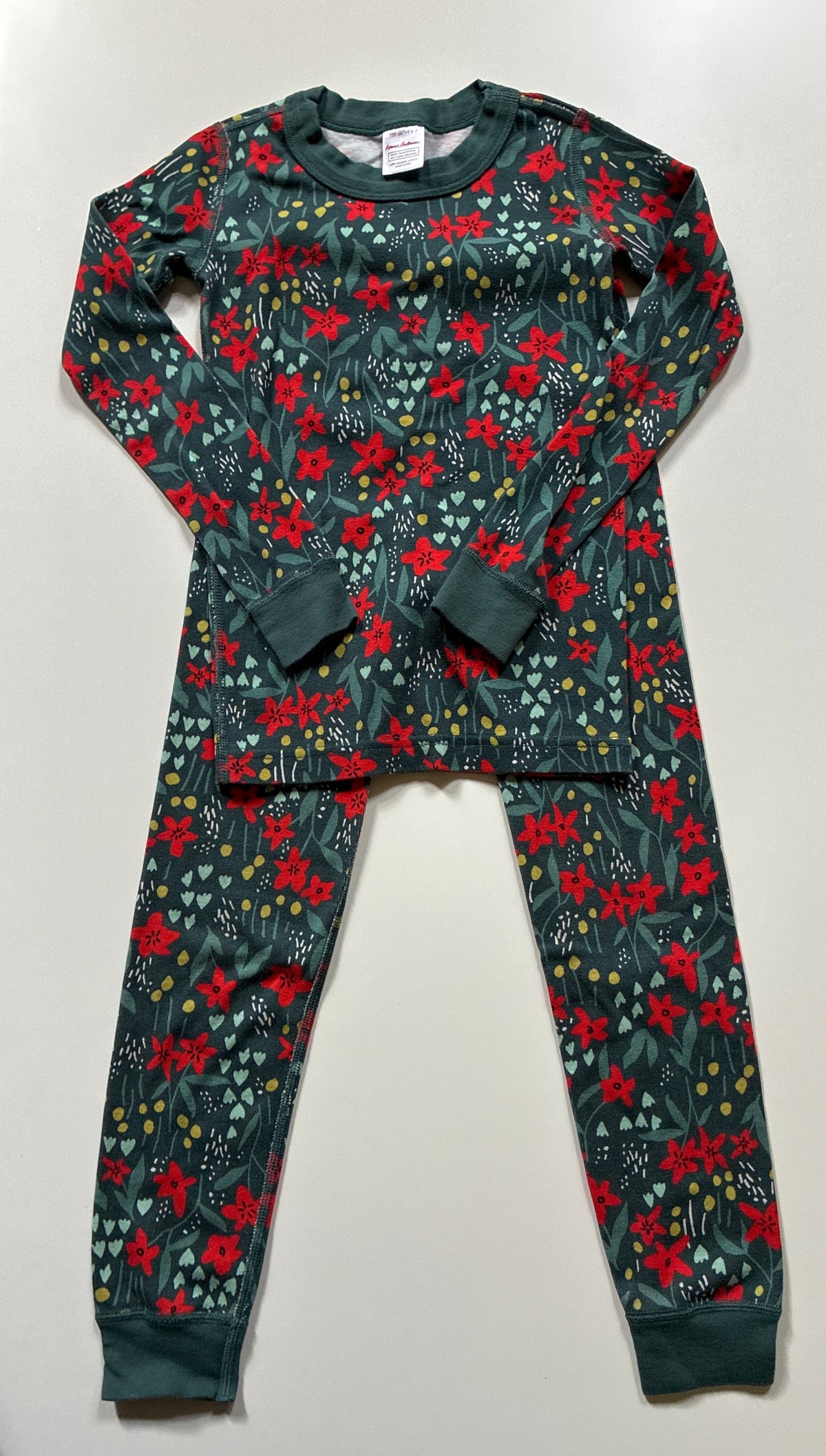 Seller 76 Hanna Andersson Pajamas Size 6/7