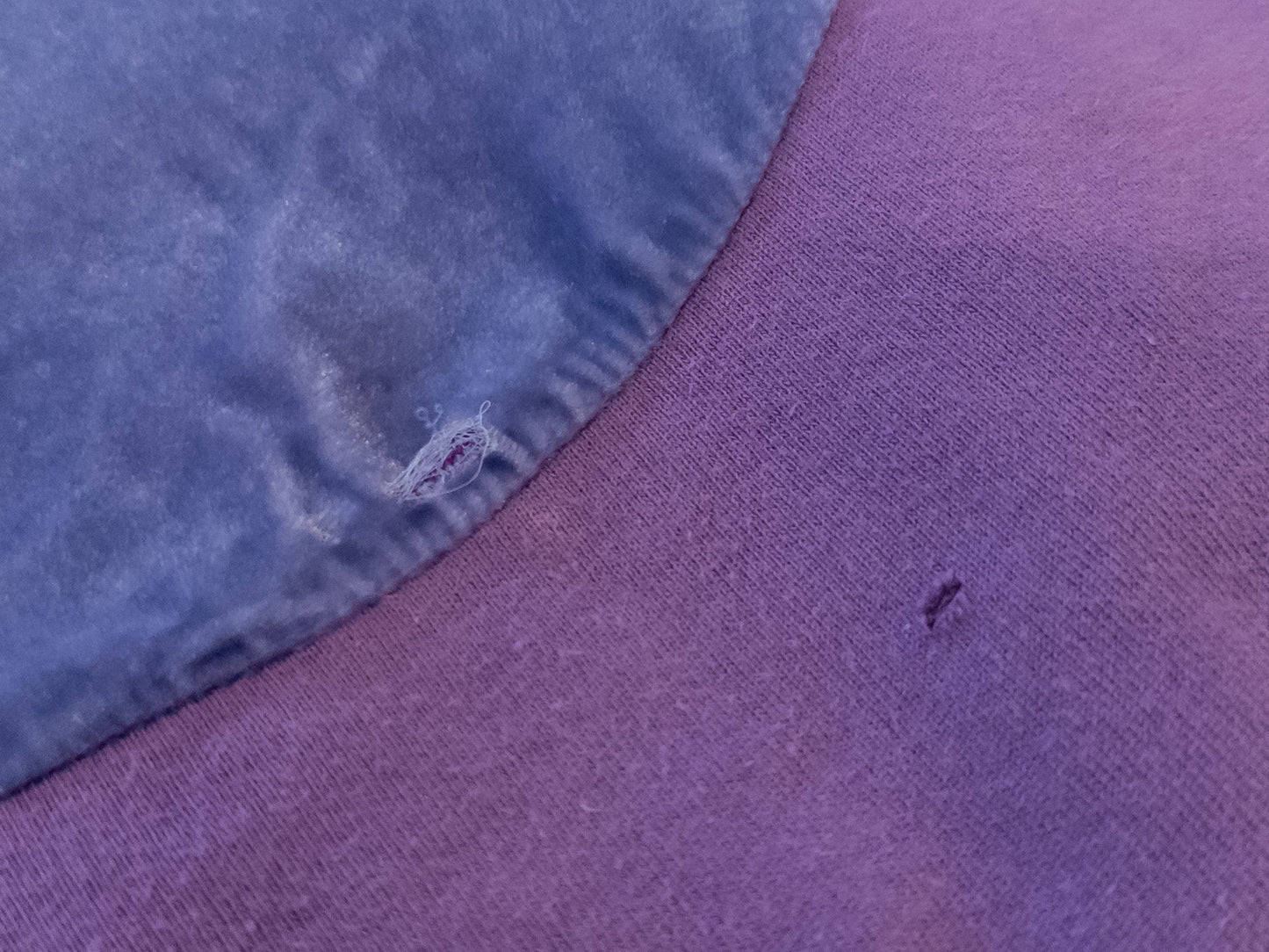 #101 Correll Correll velvet circle sweatshirt - Small