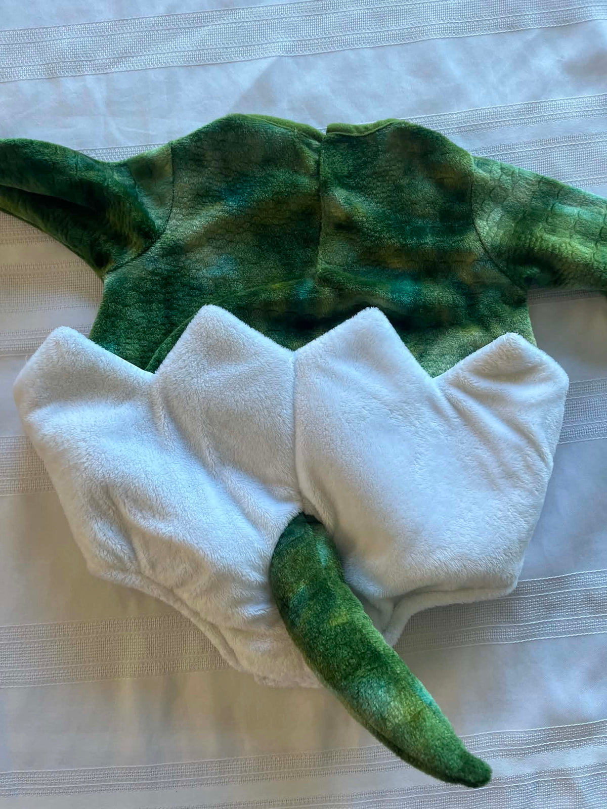 #43 Boys 0-6 months Pottery Barn dinosaur costume EUC (no hat)