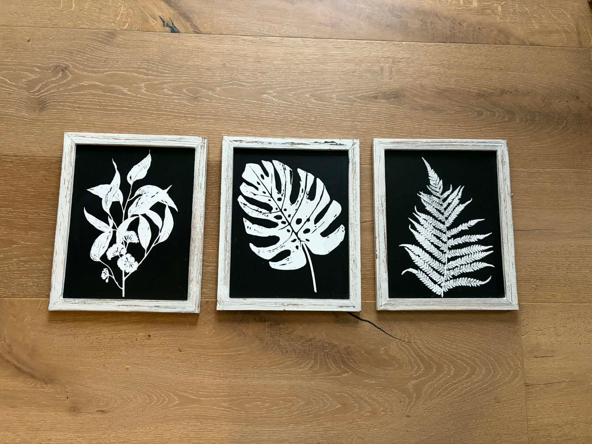 Seller #193 NEW Black-and-White Plant Art Series (Also Nice for a Kid's Room!)
