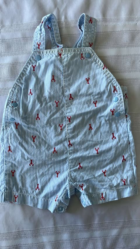 #29 Boys 6mo overalls EUC