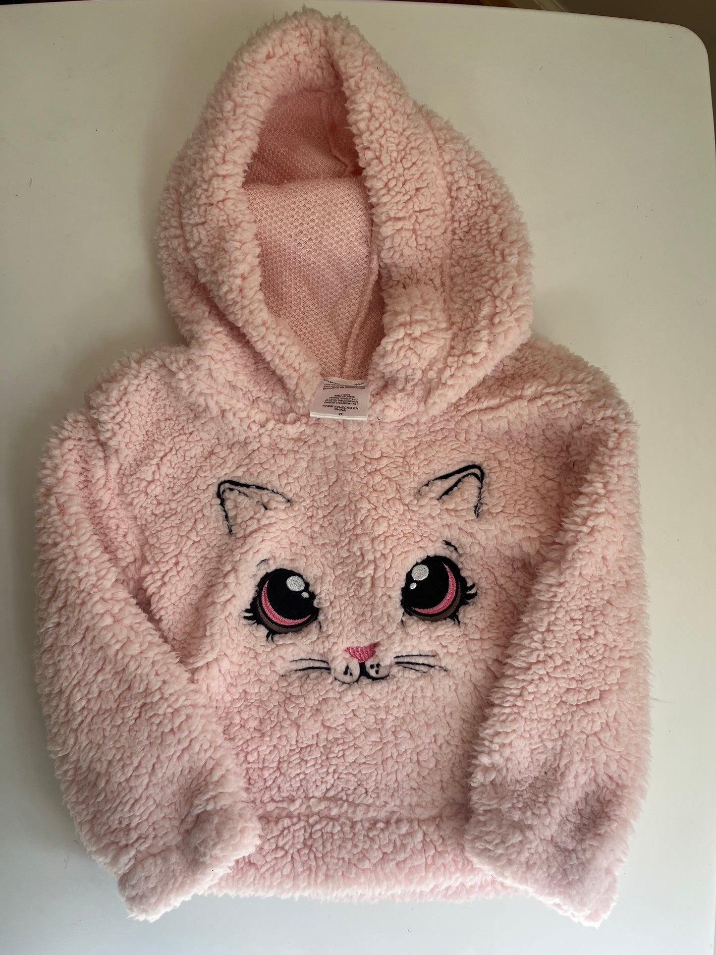 Seller #20 fuzzy cat hooded sweatshirt 2T