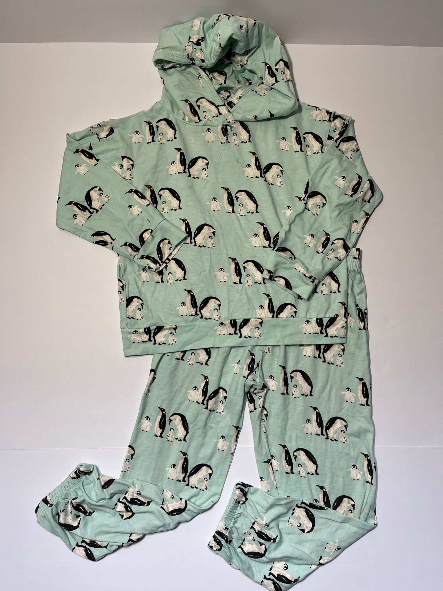 #150 girls 5 year Kate Quinn mint penguin bamboo outfit