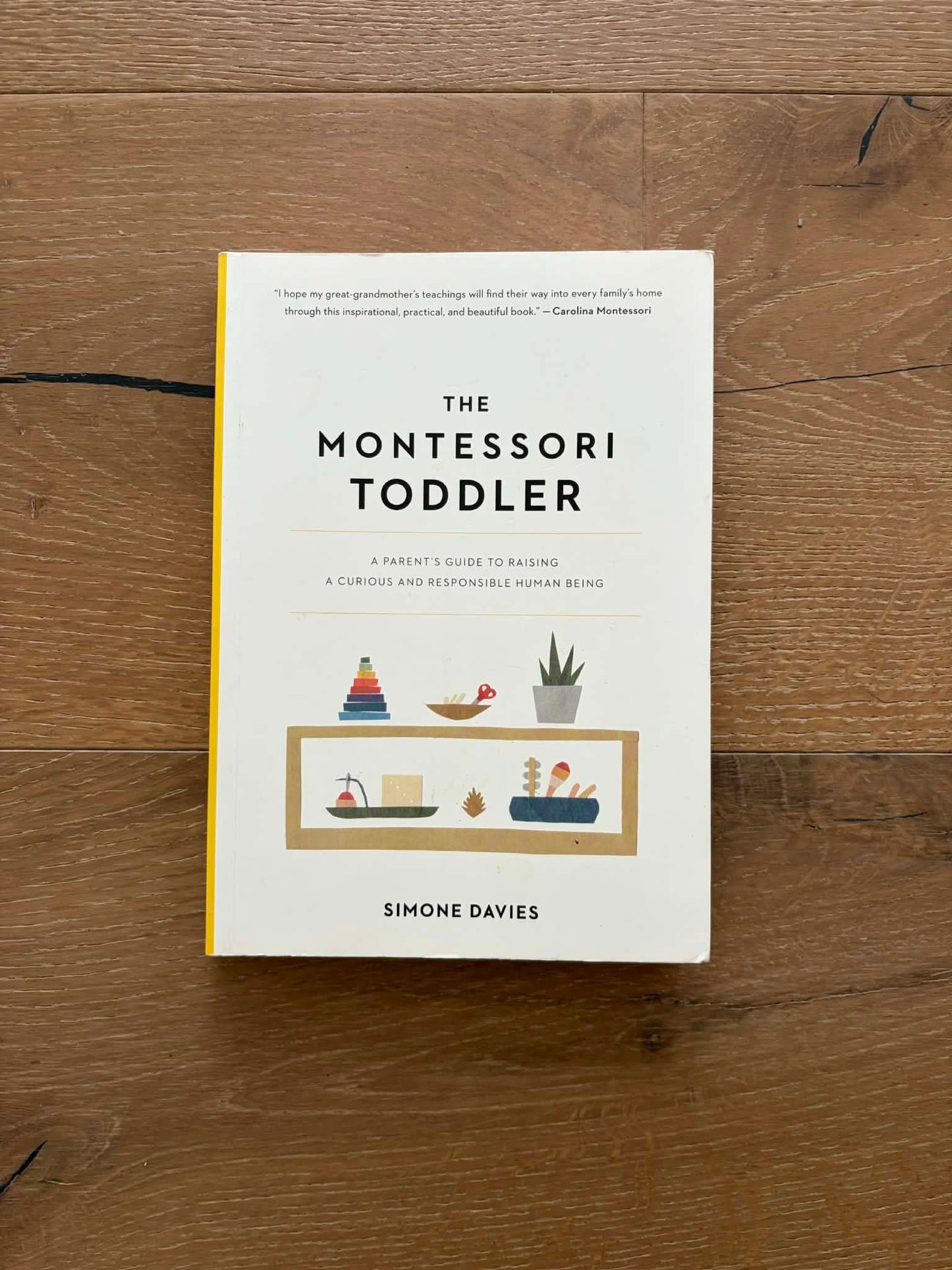 #196 REDUCED NEW The Montessori Toddler Book
