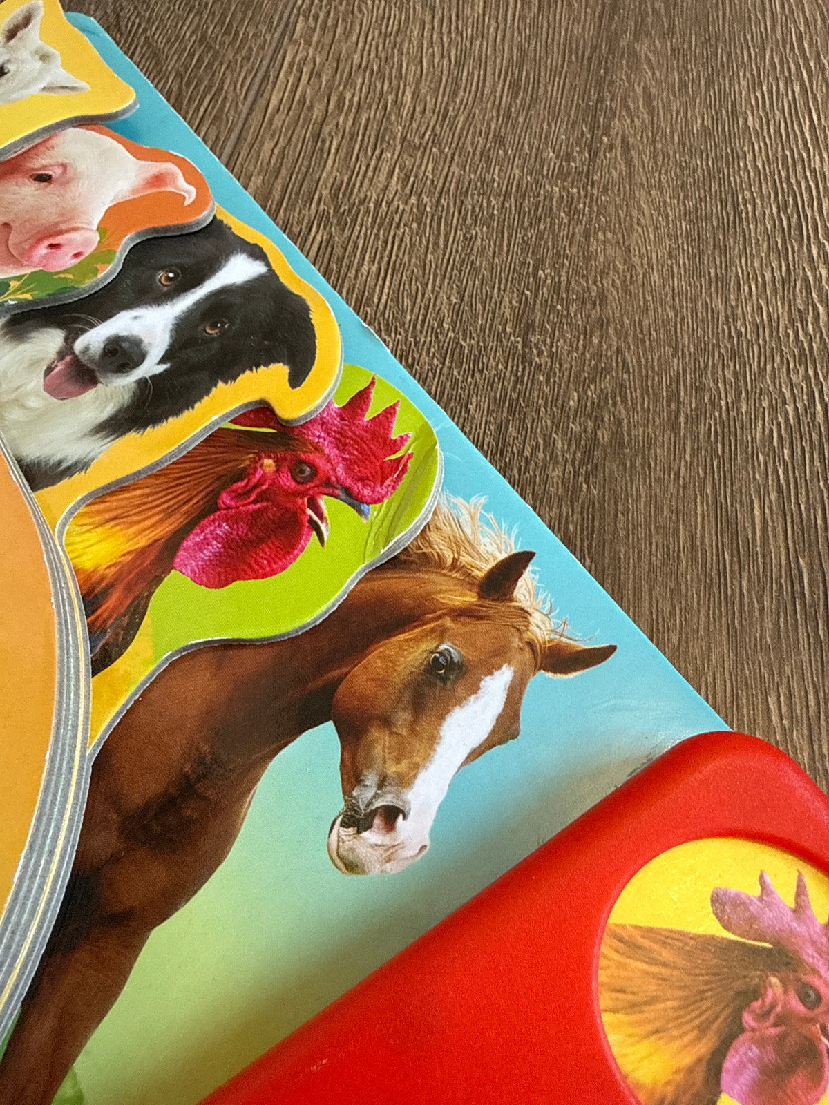 #173 Quack! Moo! Oink! animal sound book