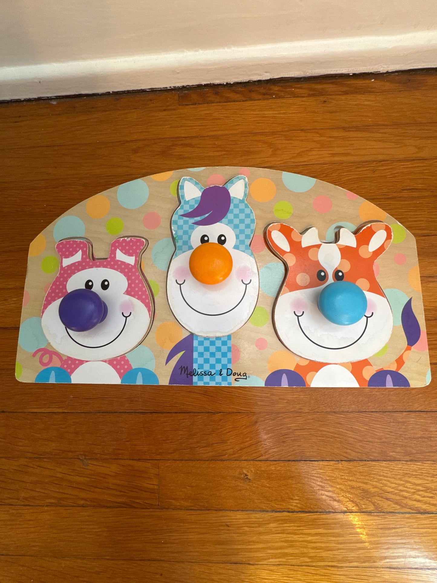 Seller #127 Melissa & Doug large inset puzzle