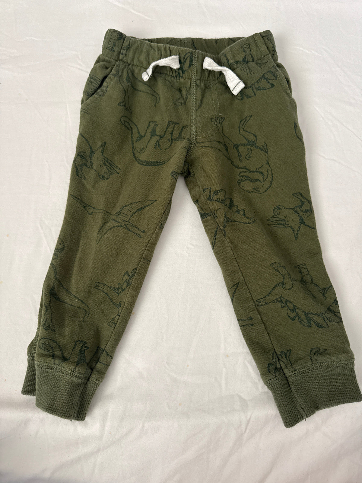 Seller #19 Green and Dinosaur Joggers Boys 2T
