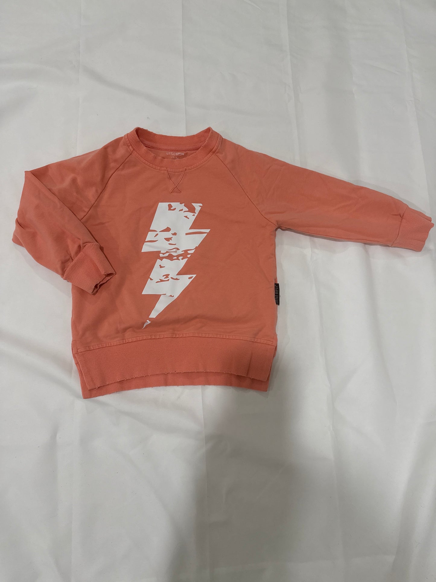 Seller #16 little bipsy sweatshirt size 2-3t