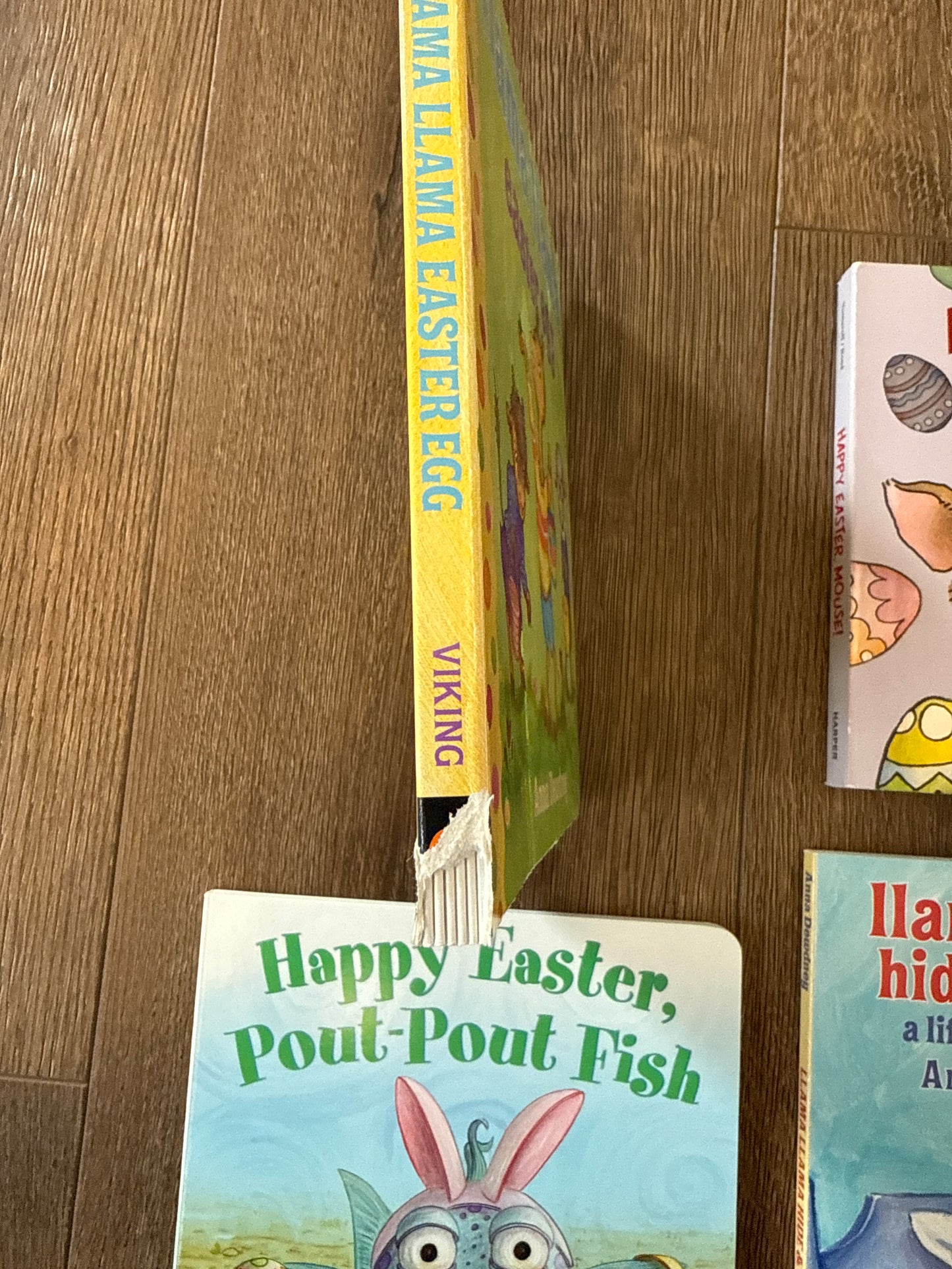 #173 spring board book bundle #1 (set of 4)