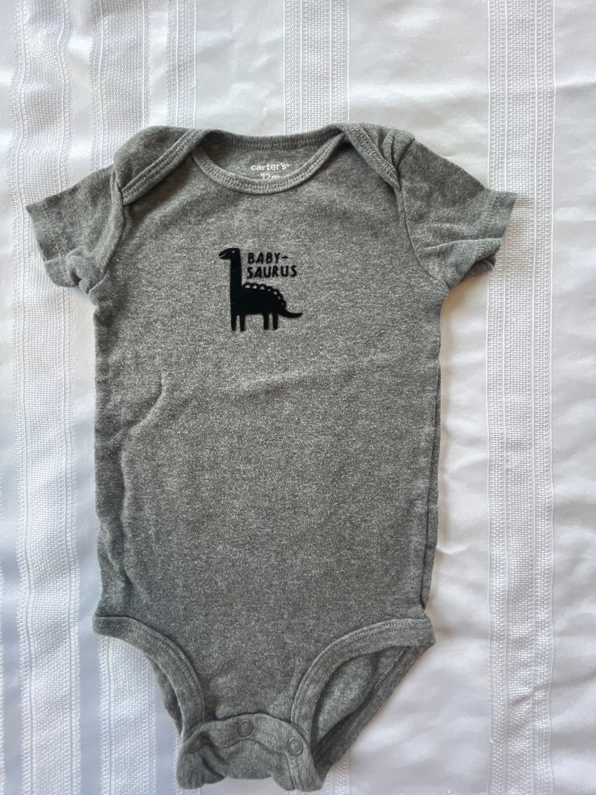 #43 Boys 12 mo Babysaurus onesie EUC