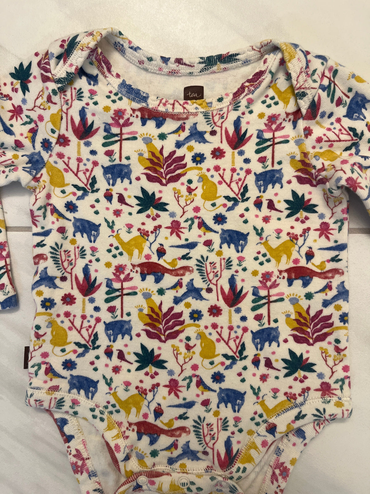 #195 Girls 3-6 month long sleeve bundle (Tea, Burt's Bee's, Carter’s), 3 s