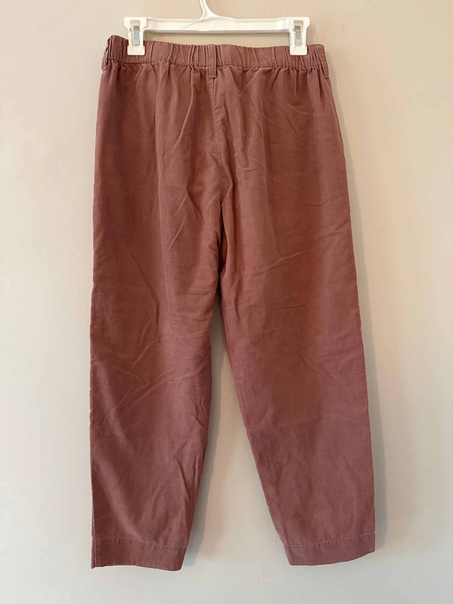 Seller #127 Madewell pant Women's size small