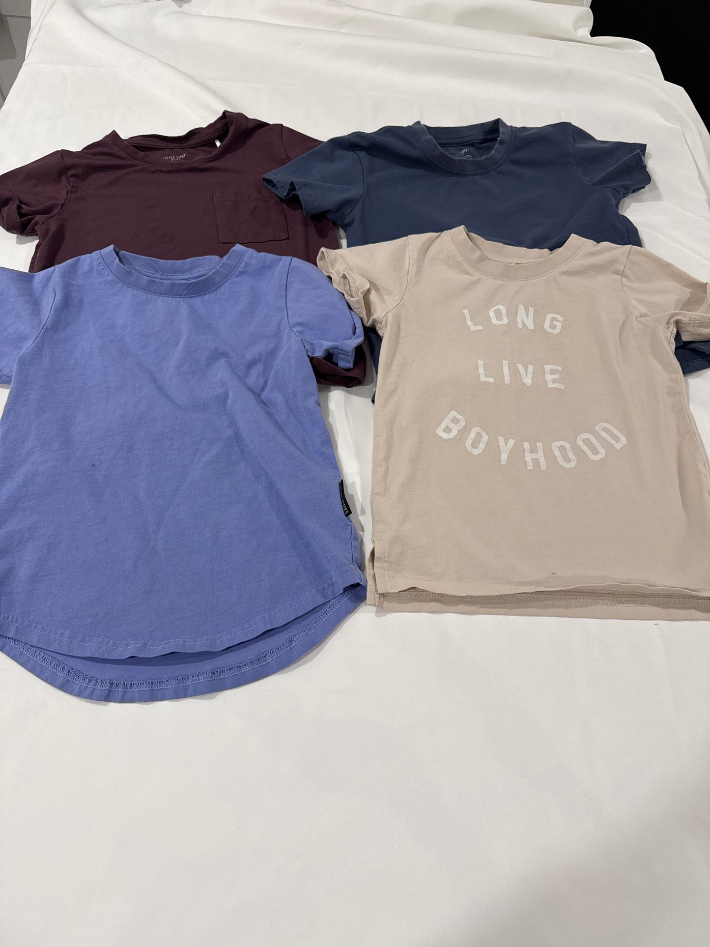 Seller 16- lot of 4t little bipsy and Lennox James tees