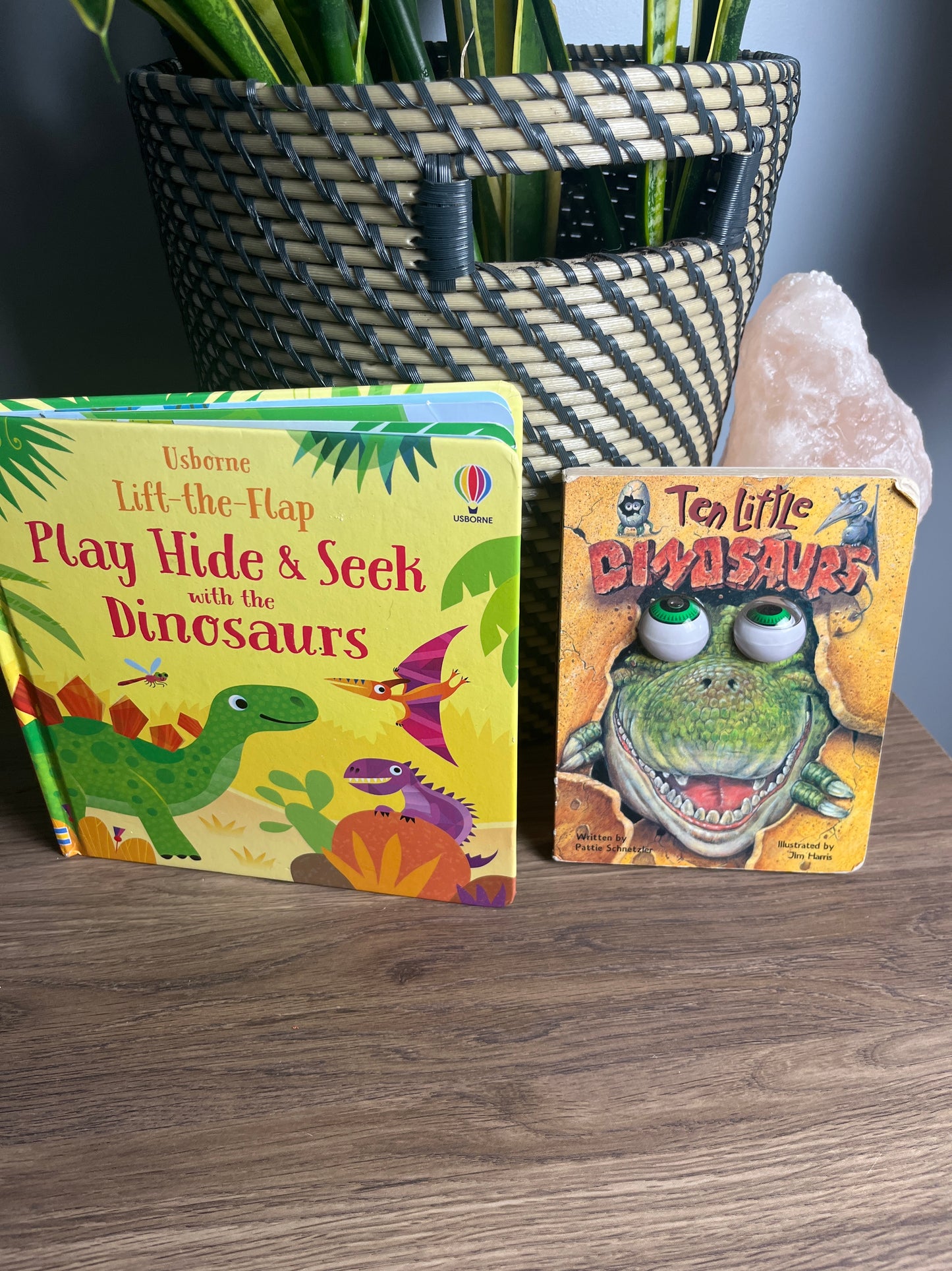 Seller #213 Set of 2 dinosaur toddler books VGUC