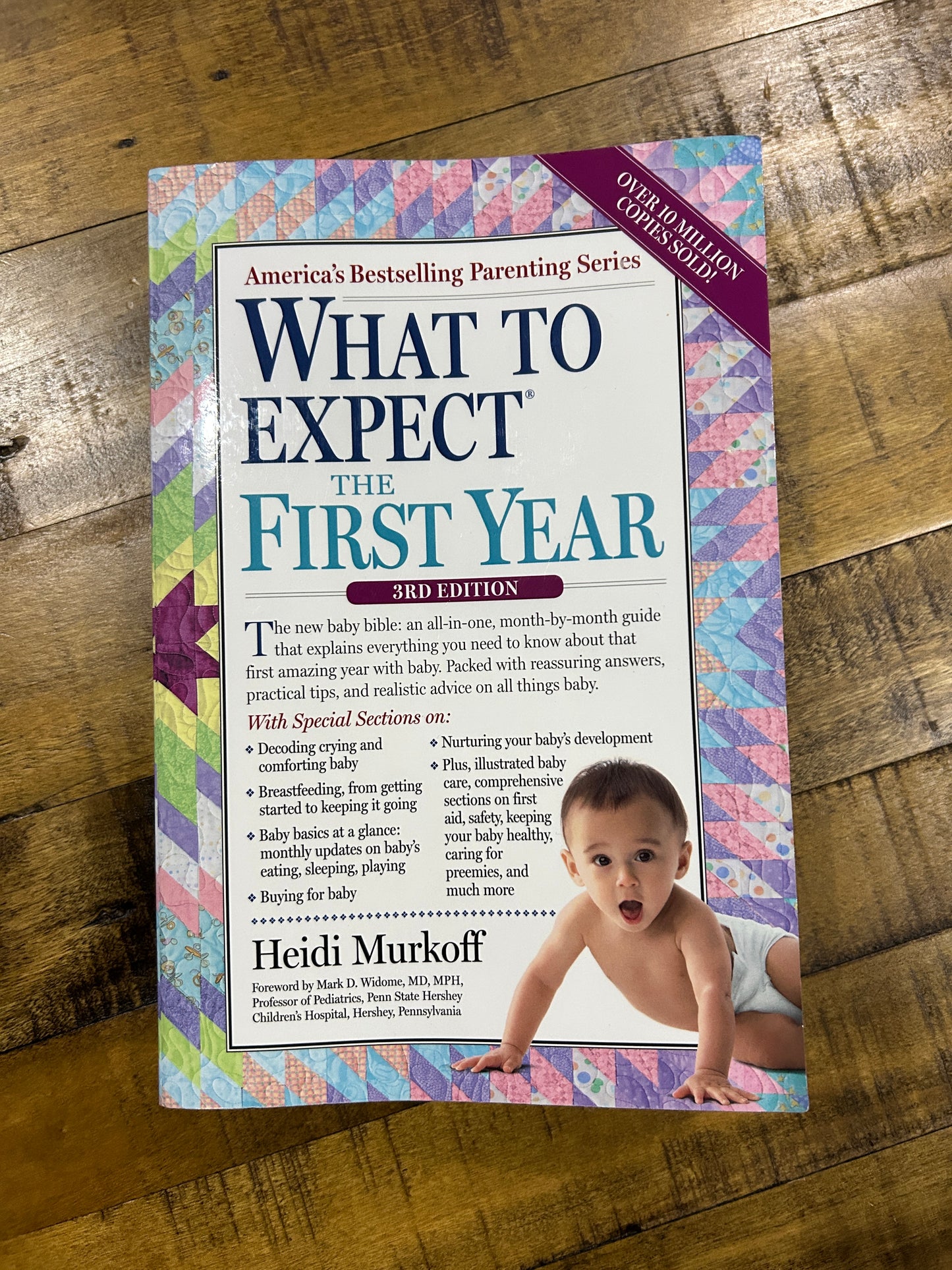 Seller #5 - What to Expect the First Year Book