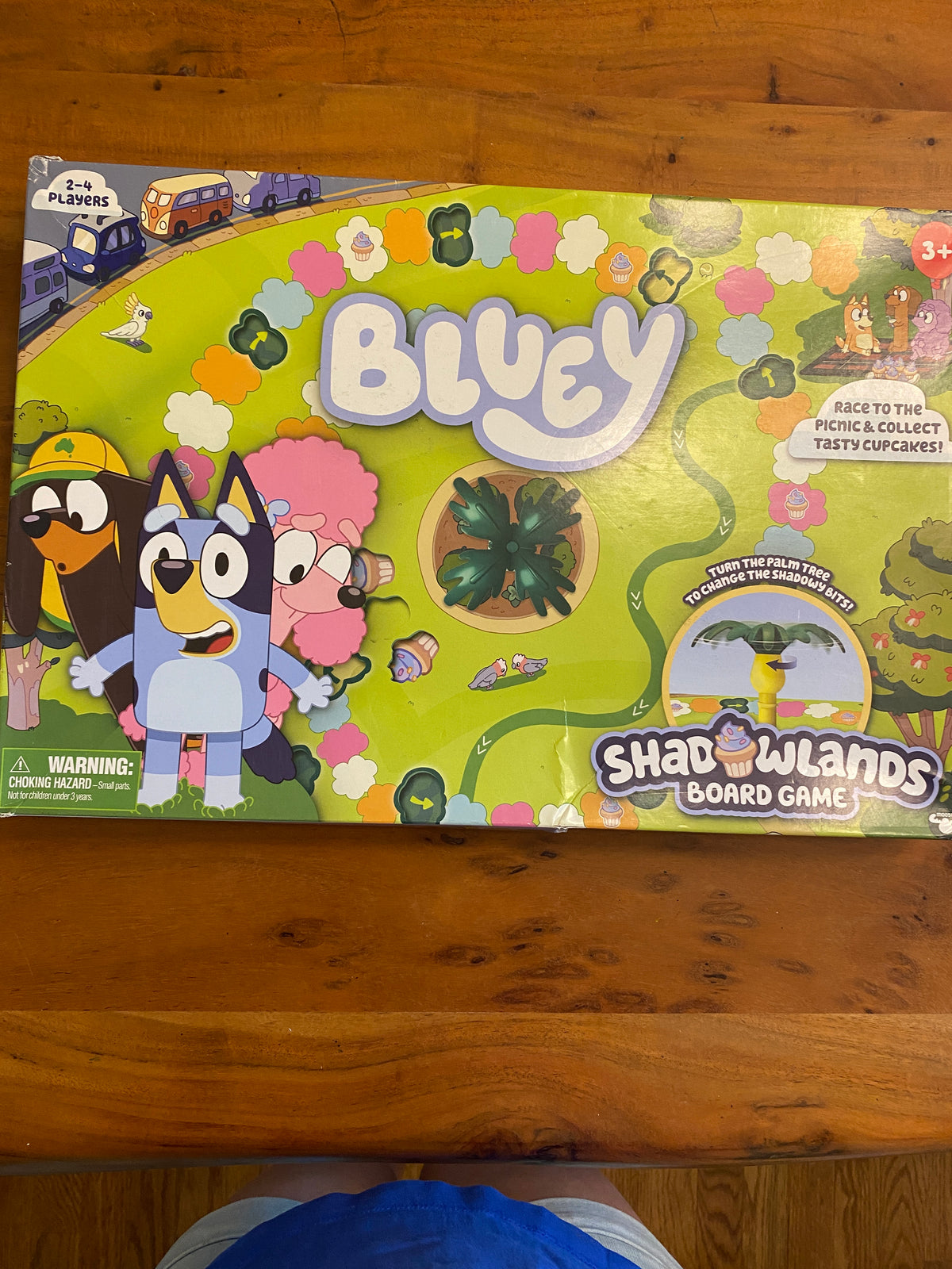 #63-bluey shadowlands board game