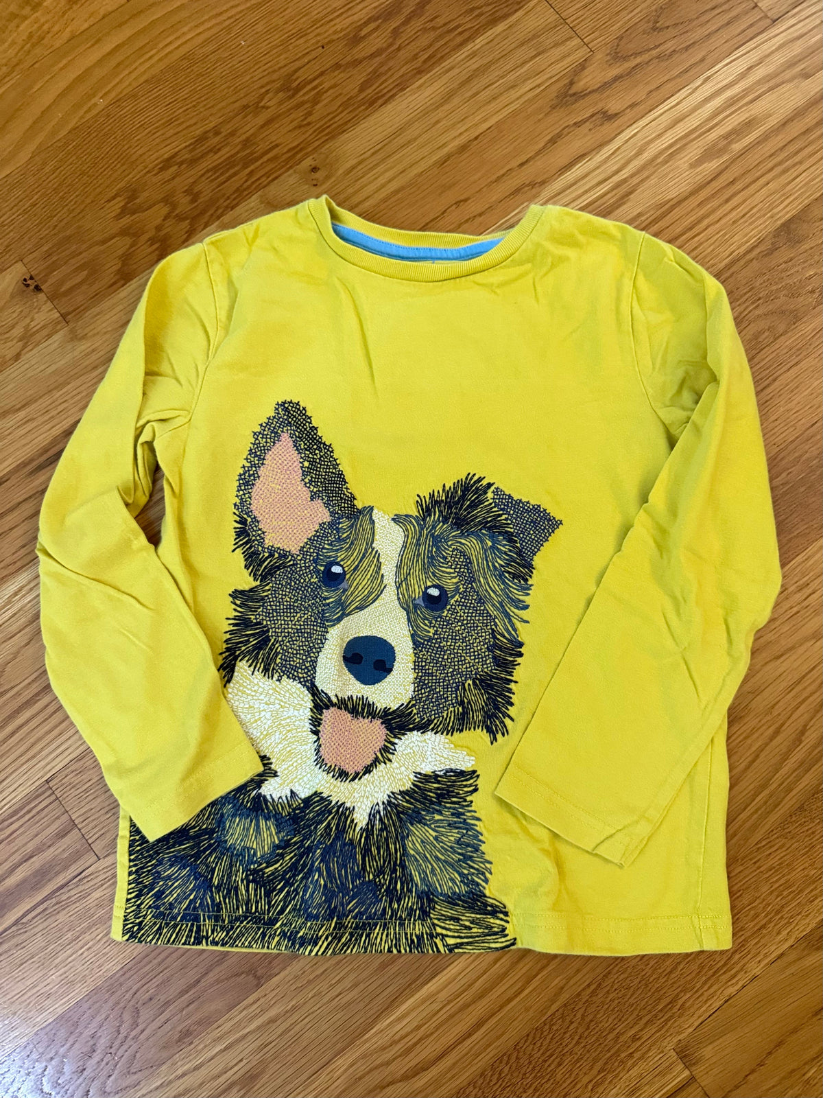 Seller #152 - Boden size 6-7 dog shirt