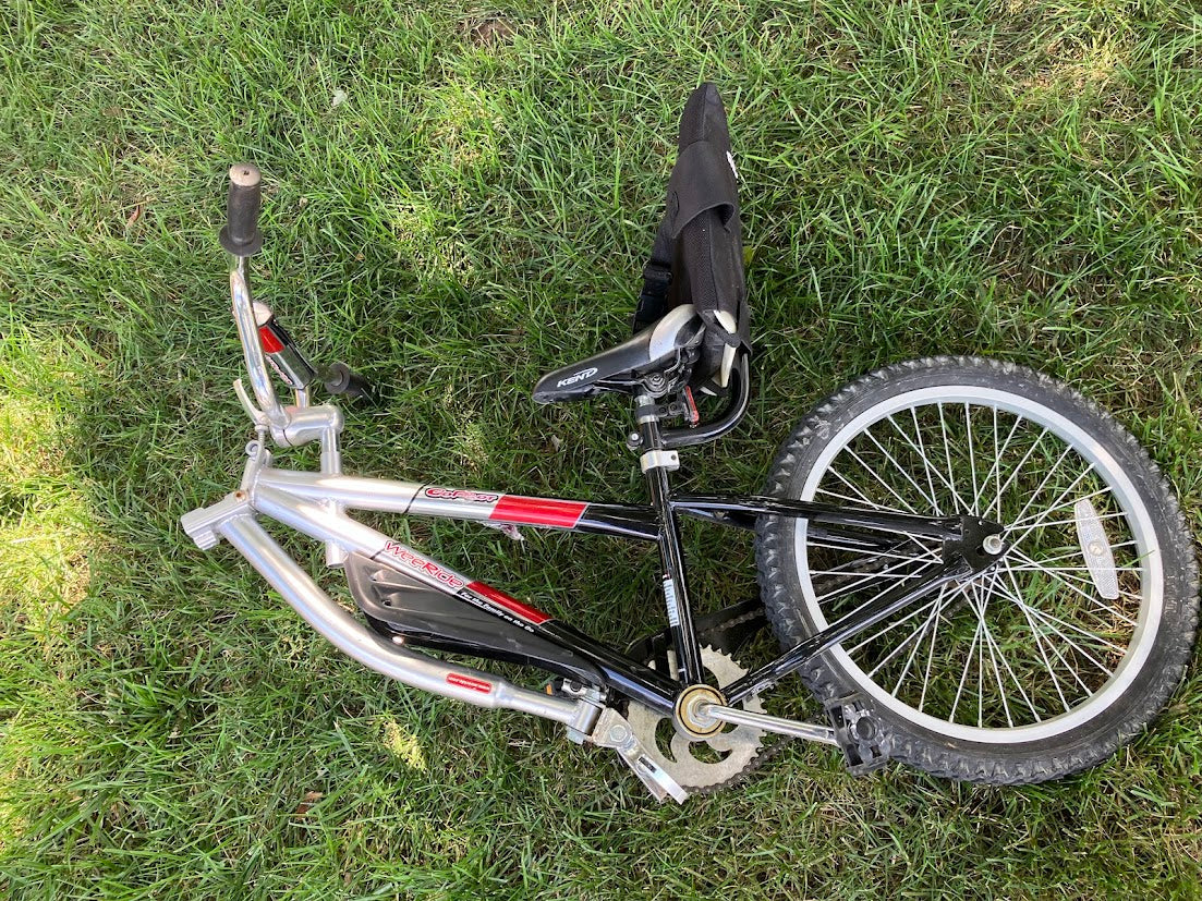 #119-WeeRide Tag Along Copilot Bike Trailer Seat