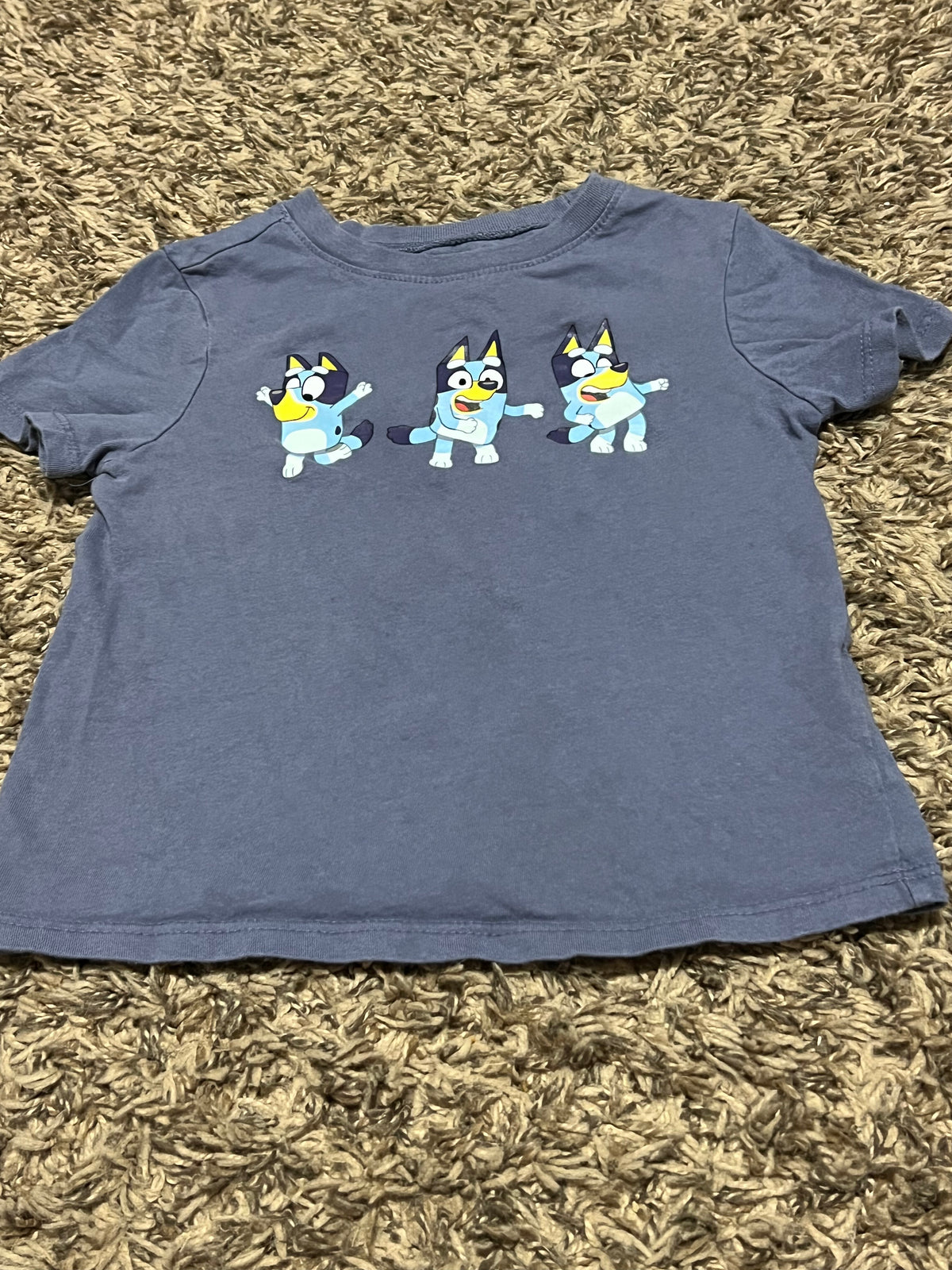 Seller #45 Bluey Tshirt Size 3t
