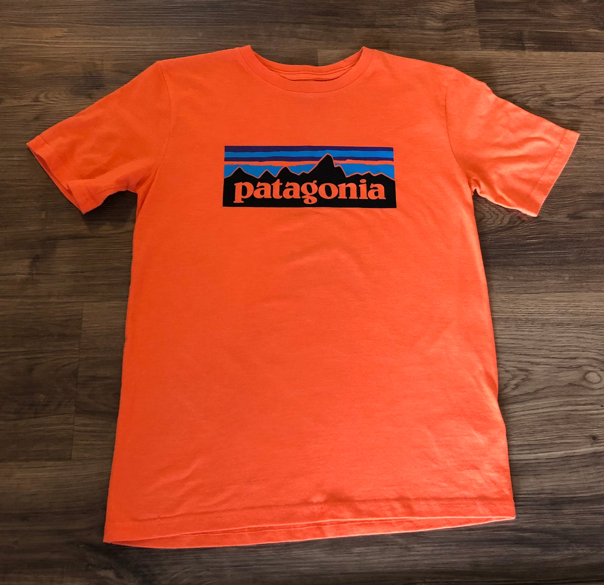 #137 Patagonia youth XL tshirt