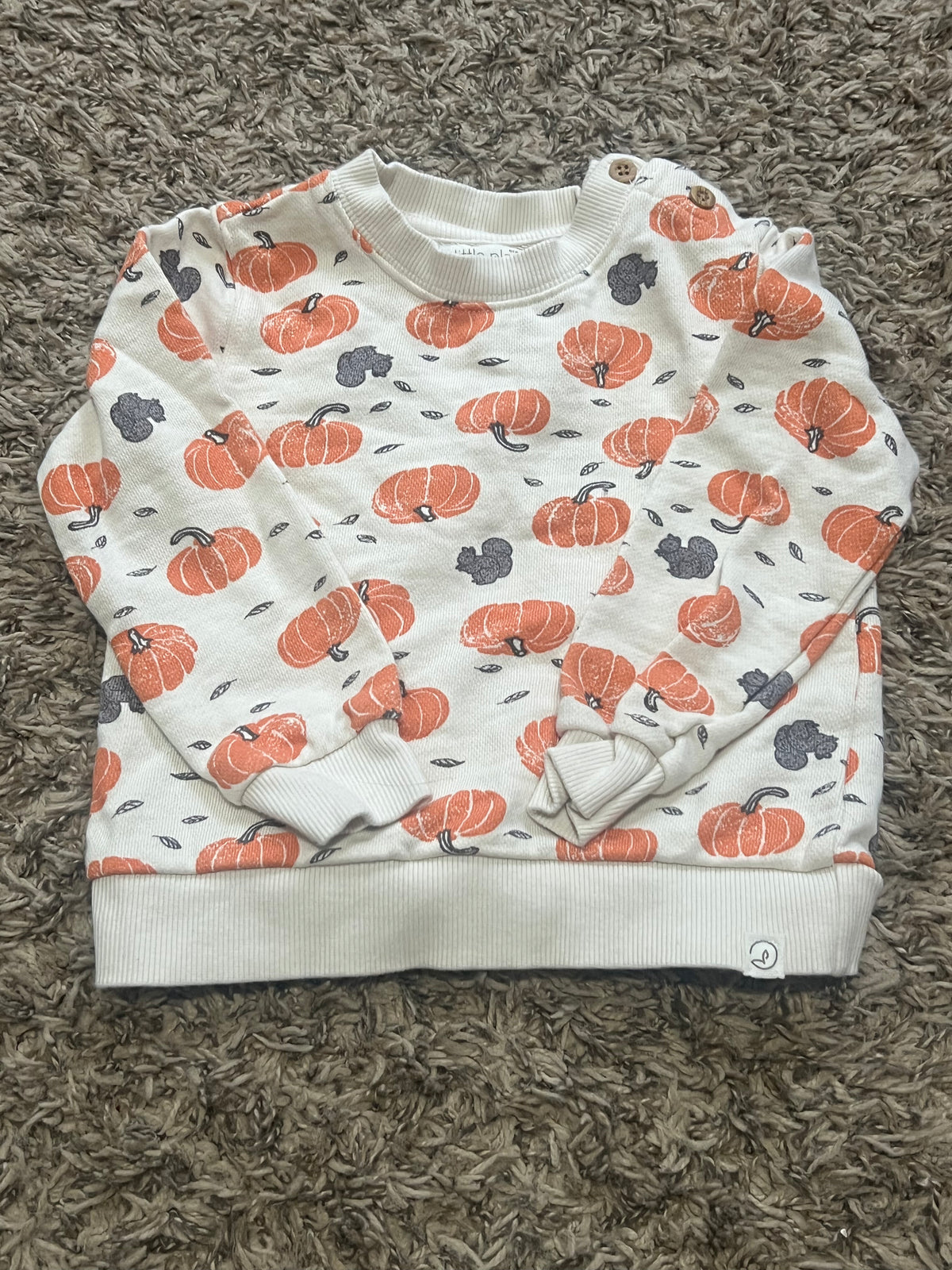 Seller #45 Organic Little Planet by Carters Pumpkin Sweatshirt Size 24 months
