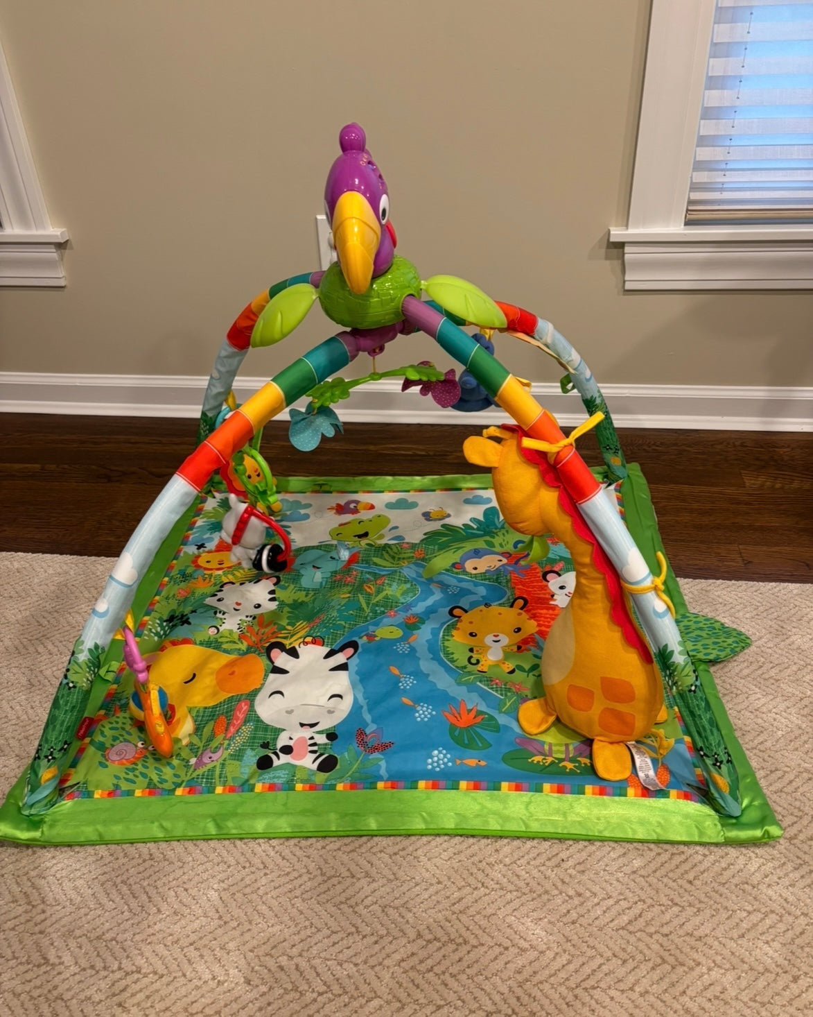 Seller #195 - *REDUCED* Fisher-Price Baby Playmat Rainforest Music & Lights Deluxe Gym